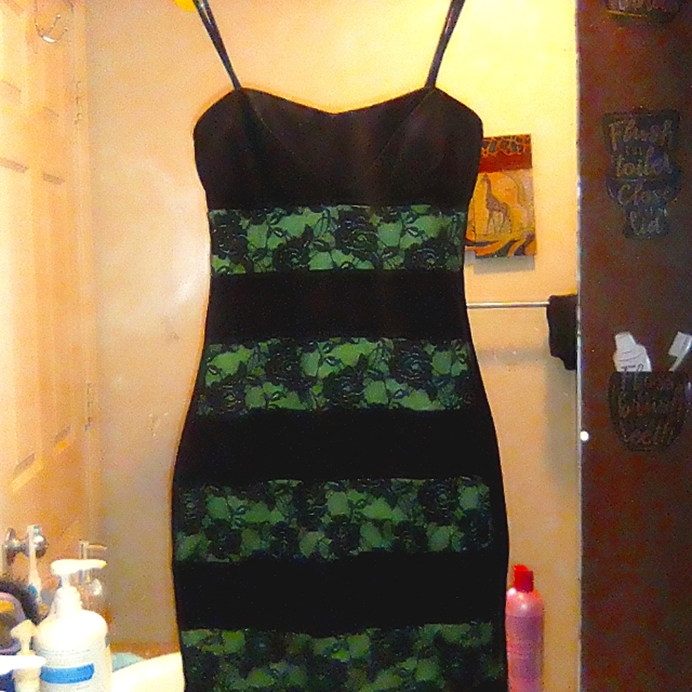 Black flower dress with green rose pattern